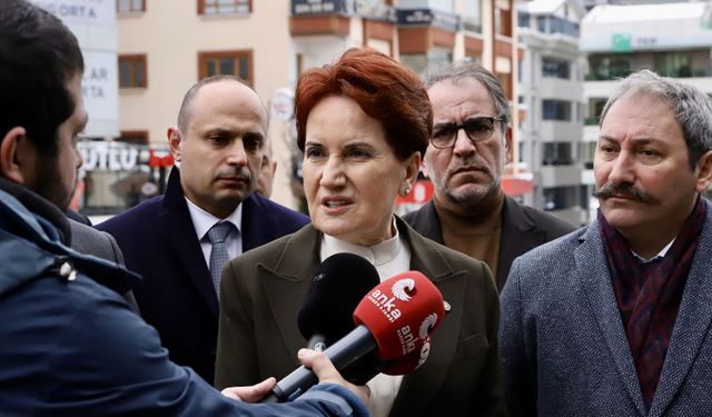 Meral Akşener Erdoğan'a ne önerdi? Devlet kurumlarının içi gitmiş liyakat diye bir kavram yok