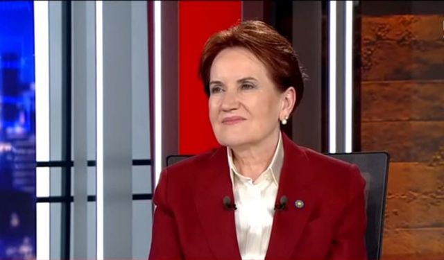 Meral Akşener: Her şey günlük gülistanlık olmaz