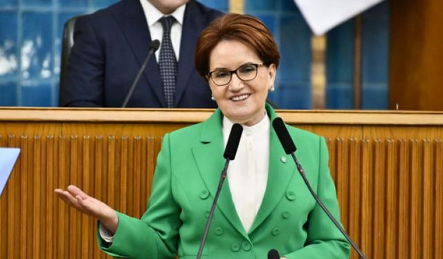 Meral Akşener'i köpek ısırdı