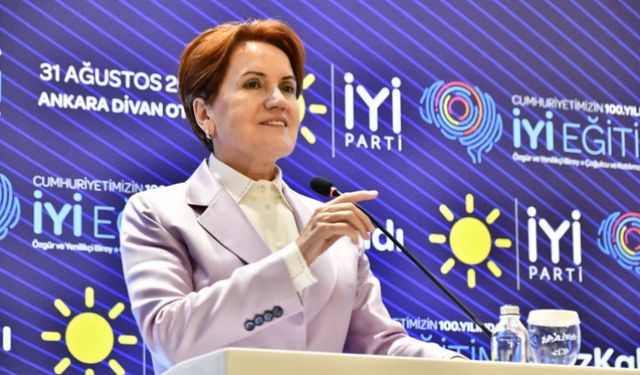 MHP'li isimler İYİ Parti'ye geçti: Rozetlerini Meral Akşener taktı