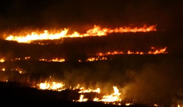 Yüksekova'nın kuş cenneti 4 gündür alev alev yanıyor