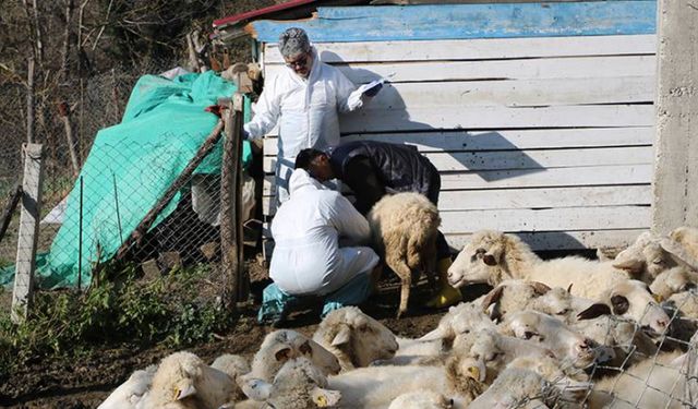 Zonguldak'ta 50 köy karantinaya alındı