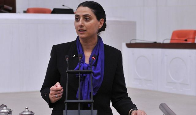 HDP'li Feleknas Uca'dan Hakkari'de skandal sözler! Öcalan vaadi tepki çekti...