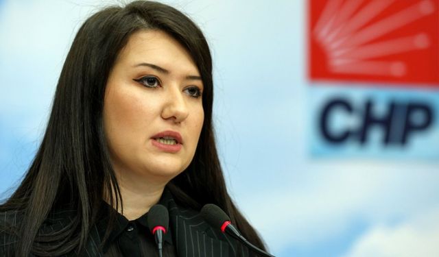 CHP'li Gökçe Gökçen AKP'nin Seçim Beyannemesi'ni değerlendirdi!