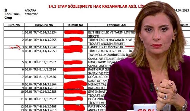 Gazeteci Hande Fırat devletten 3.5 milyon lira hibe alacak!