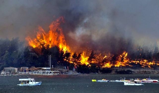 Bodrum’daki orman yangının faili  100 bin TL'ye yakmış!