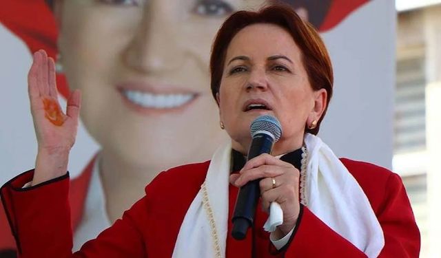 Meral Akşener'den o pankarta çok sert tepki! Her birinizi bir ana doğurdu ahlaksızlıktır bu