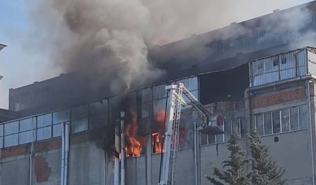 İstanbul'da korkutan yangın! Çok sayıda ekip sevk edildi