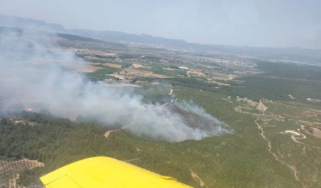 İzmir'de orman yangını! Ekipler müdahale ediyor