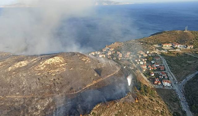 Muğla Datça'da çıkan orman yangını kontrol altına alındı