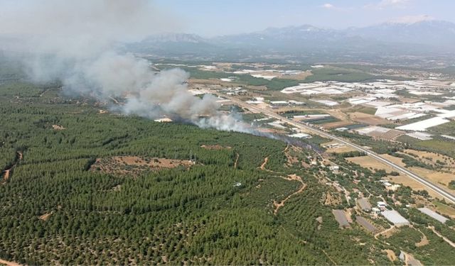 Antalya'da korkutan yangın! 2 farklı yerde...