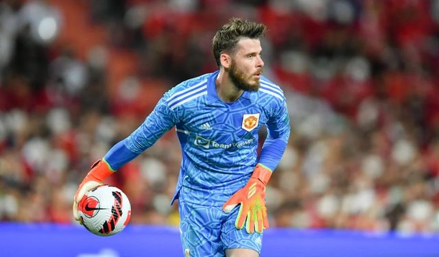 Fenerbahçe'den David de Gea hamlesi!