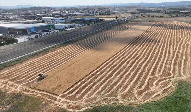 Ankara Büyükşehir Belediyesi Atatürk'ün mirasına sahip çıkıyor