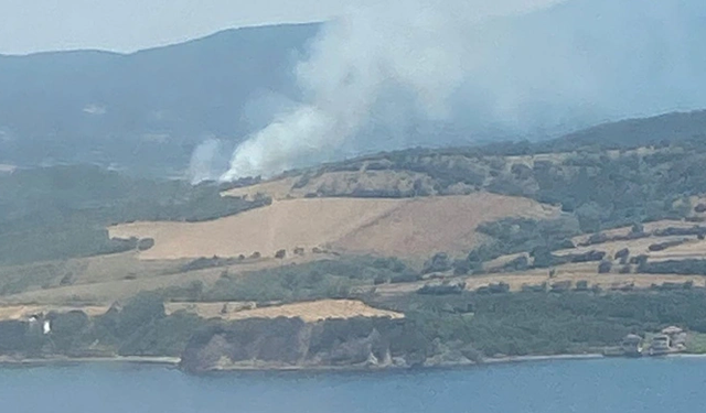 Çanakkale'de orman yangını çıktı! Alevler rüzgarın etkisiyle büyüyor