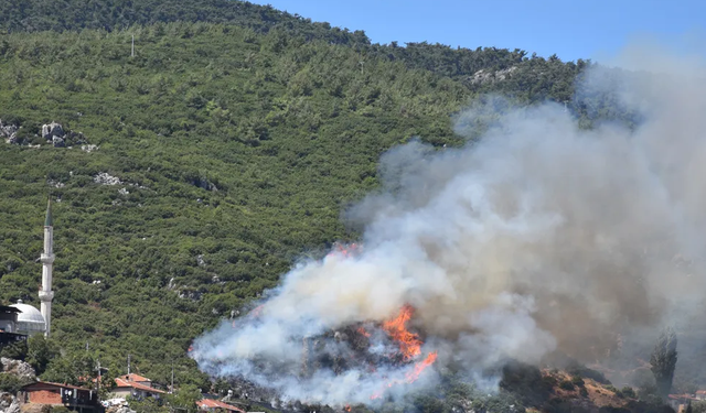 İzmir'in iki ilçesinde orman yangını çıktı! Alevler rüzgarın etkisi ile büyüdü