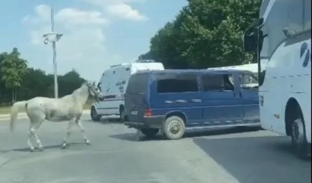 Vicdansızlığın böylesi: O görüntülere gözaltı