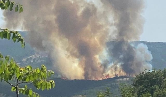 İstanbul'un ardından Kütahya'da yangın