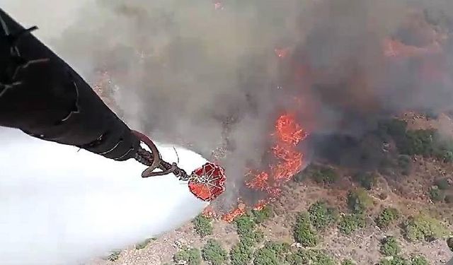 Manisa'da korkutan orman yangını