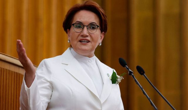 Akşener'den suç duyurusuna cevap: Güzel; şimdi tekrar hakaret ediyorum