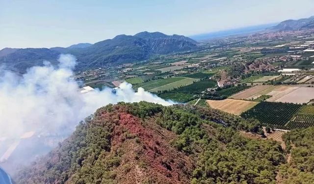 Muğla'da korkutan orman yangını! Ekipler müdahale ediyor