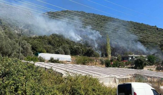 Antalya Kaş'ta korkutan yangın! Ev ve seralara yakın yerde...