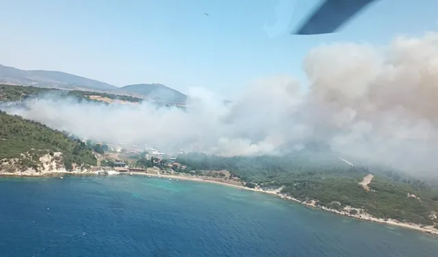 Muğla'dan sonra şimdi de İzmir'de orman yangınları çıktı!