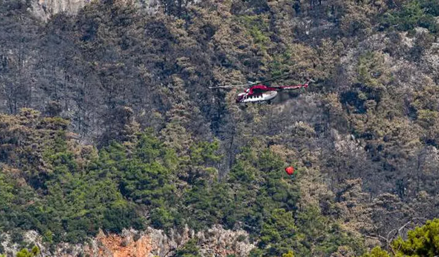 Antalya Kemer'deki yangınla ilgili önemli gelişme