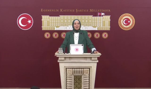 DEVA Partisi Genel Başkan Yardımcısı Elif Esen: Meclis'in bu yaz tatil yapma lüksü yoktu