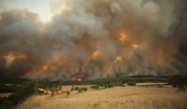 Çanakkale'nin Kayadere köyünde dev yangın