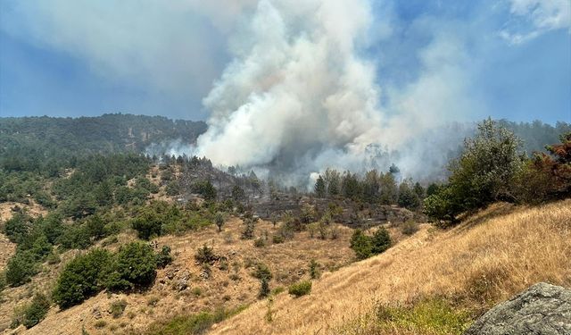 Çankırı'nın Ilgaz ilçesinde yangın çıktı