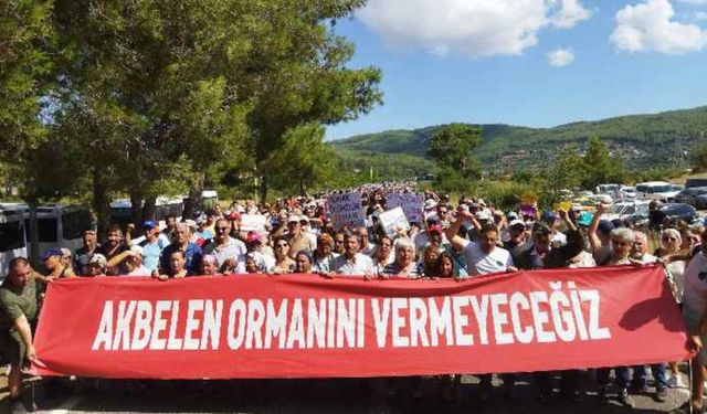 Akbelen kazandı! Kamulaştırma kararı yürürlükten kaldırıldı