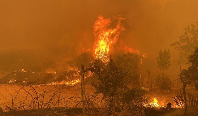 Son dakika! Çanakkale'deki yangında gelişme