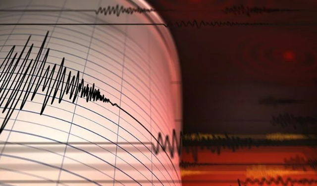 İzmir’de panik yaratan deprem! AFAD'dan açıklama geldi