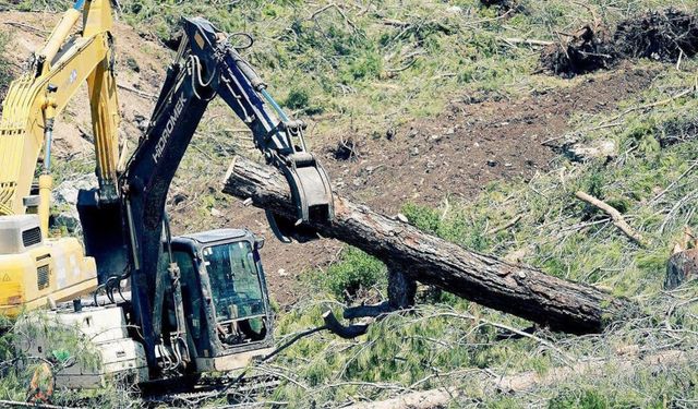 Son dakika! Dilekçe sunuldu: TBMM Akbelen için olağanüstü toplanıyor