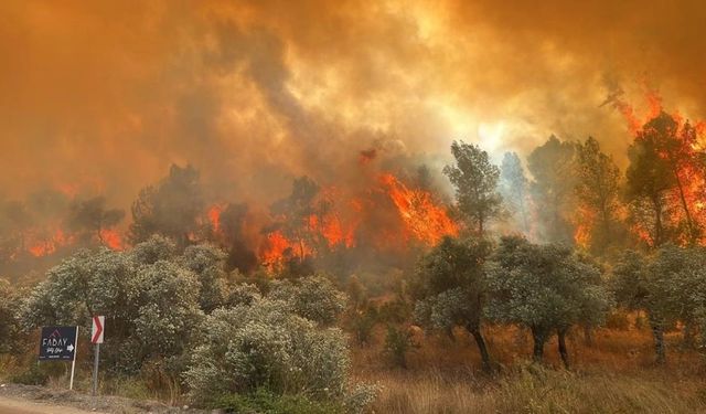 Muğla Milas orman yangında şok görüntüler! Yangın böyle başlamış...