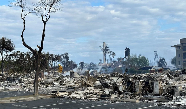 Hawaii'deki yangınlarda ölü sayısı 96'ya çıktı