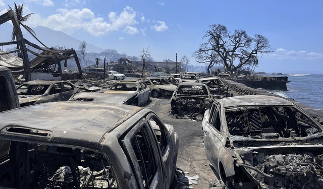 Hawaii'deki yangınlarda ölü sayısı 106'ya çıktı