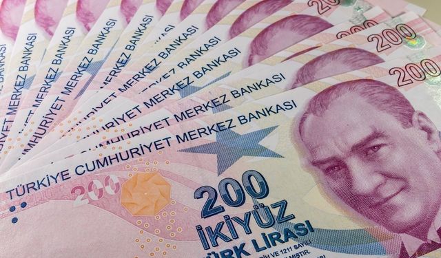 Piyasa uzmanından yatırım mesajı: "...euro, altın veya gümüş..."