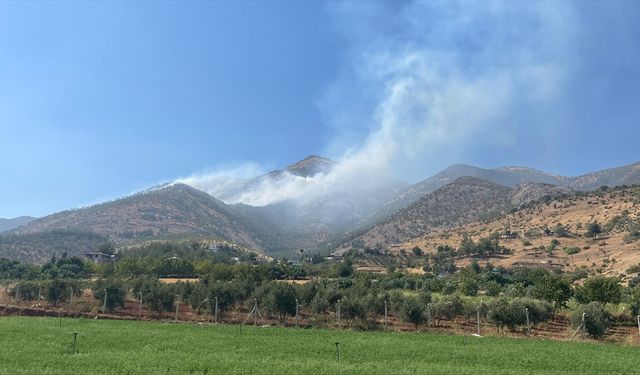 Kahramanmaraş'ta korkutan yangın