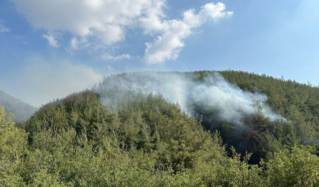 Osmaniye'de orman yangını çıktı