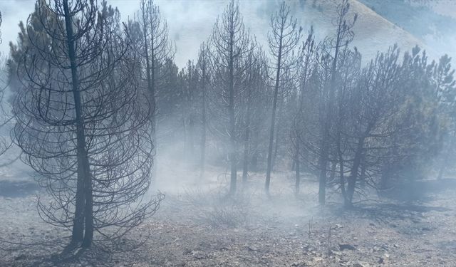 Isparta'nın Yalvaç ilçesinde yangın çıktı!