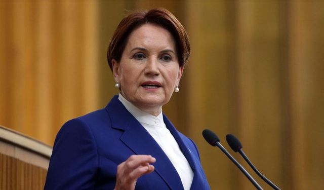 Meral Akşener AYM'ye başvurdu: Talebi 5 milyon lira tazminat