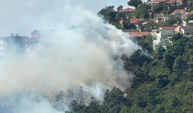 İstanbul'da orman yangını çıktı