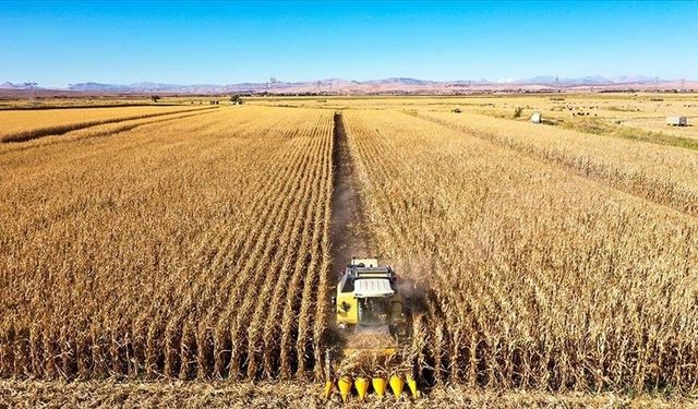 Bakanlıktan tarım arazisi kararı: Miras kalan tarlalar 2 yıl kiralanacak