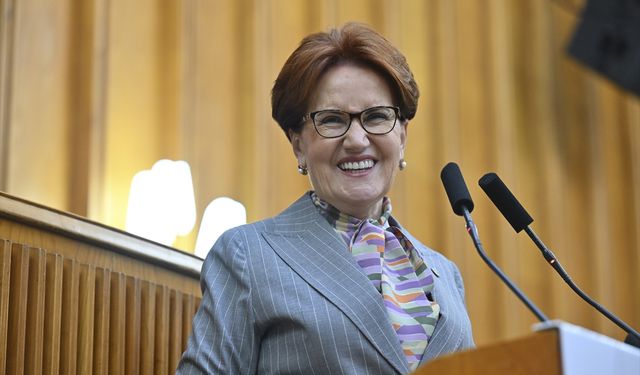 Meral Akşener bu sefer solculara salladı: Salaklar