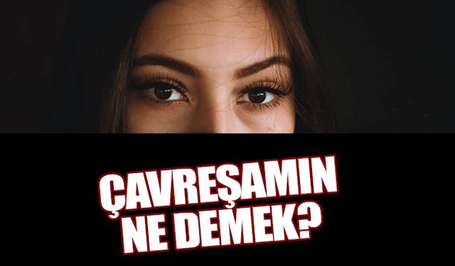 Çavreşamın Ne Demek? Çavreşamın Şarkısı Türkçe Sözleri