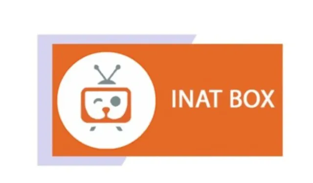 İnat Box izle, İnat Box nedir?