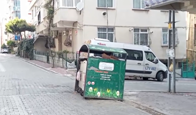 İstanbul'da çöp bidonunda bebek cesedi bulundu