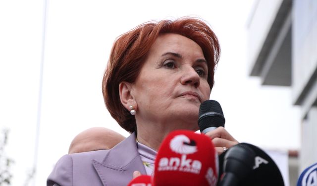 Meral Akşener'in 'hançer' çıkmazı: Kaç cinayeti var?