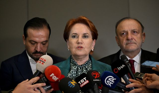 Meral Akşener Anayasa açıklaması: Erdoğan'ın aklını başına alıp düzeltmesi lazım